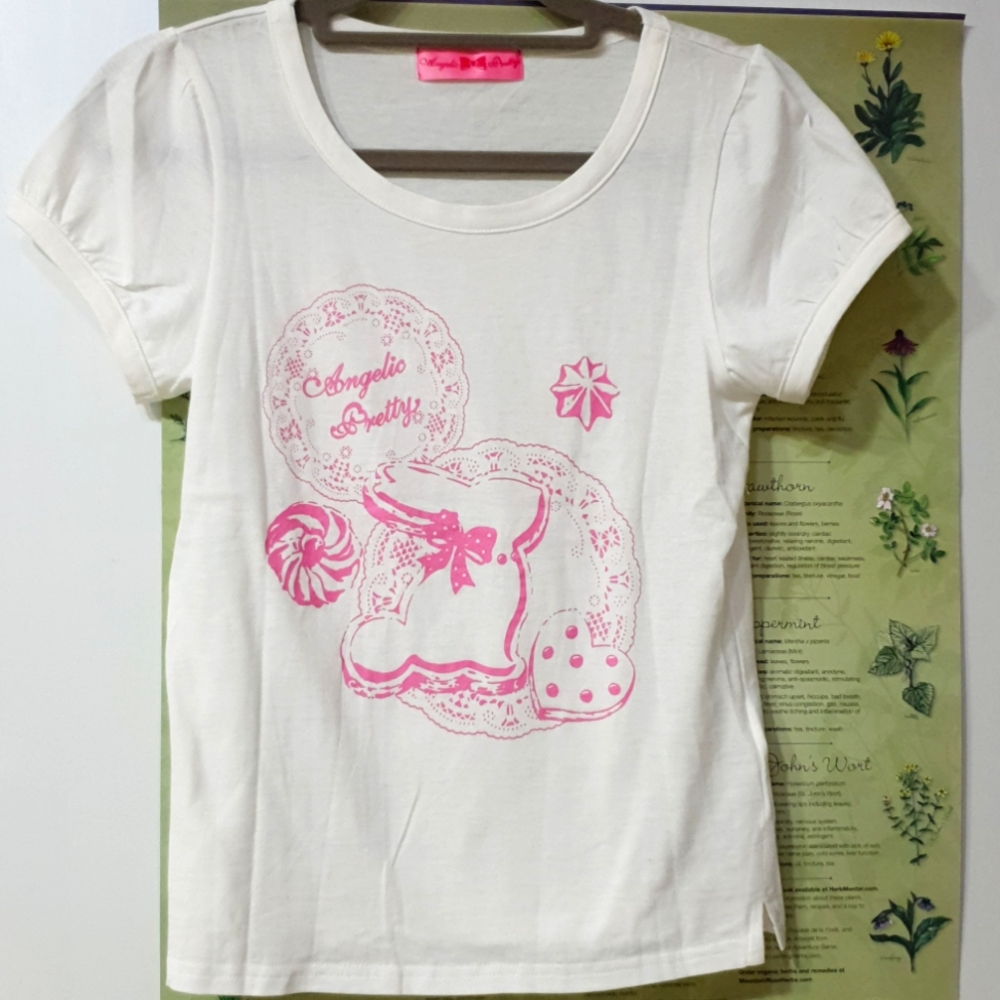 Angelic Pretty Wonder Cookie cutsew